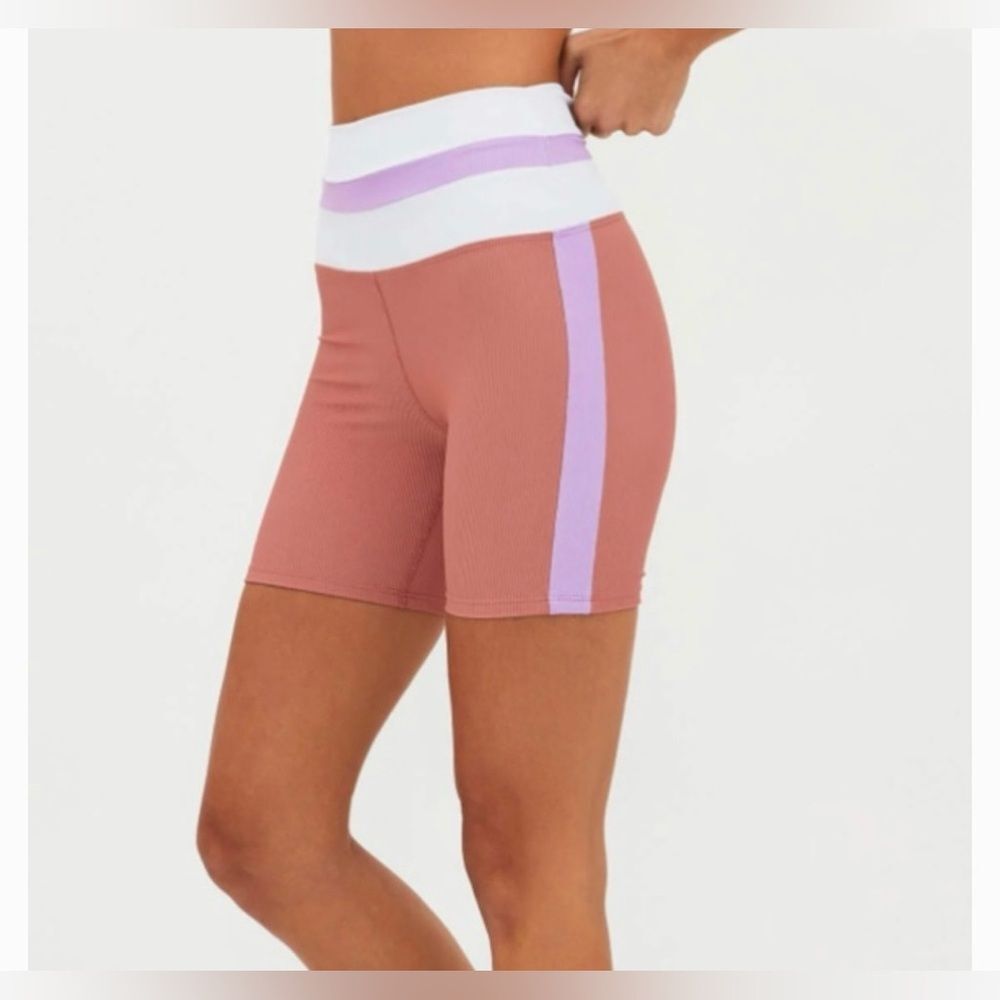 Beach Riot Samantha Bike Short in Fairy Colorblock
